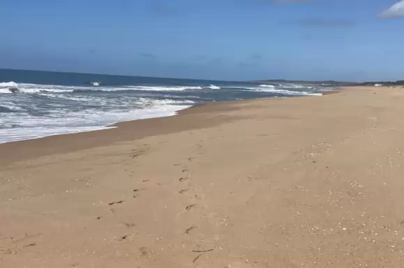 Portada chacras #1459 - Punta Ballena